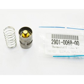2901006800B Thermostat Valve Kit